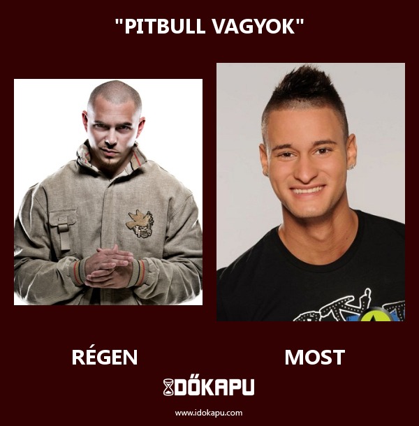 "Pitbull vagyok"
title=