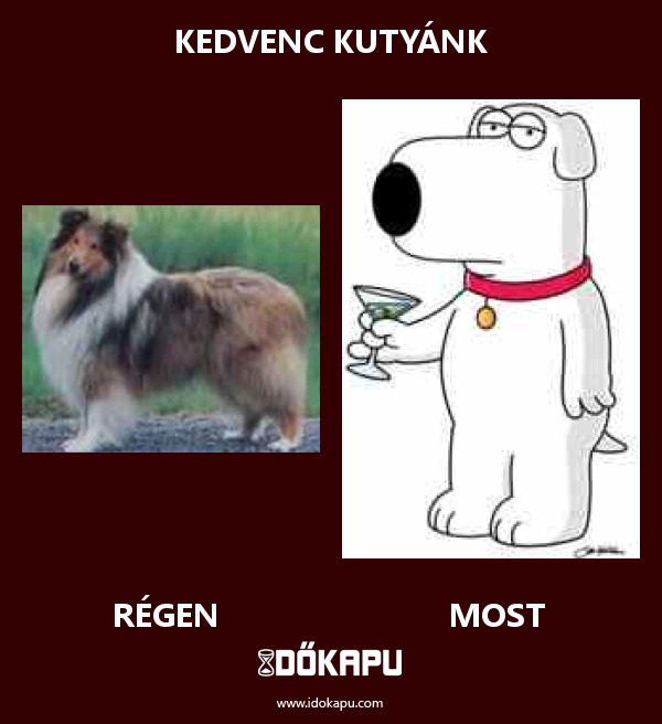 Kedvenc kutyánk
 
 title=
