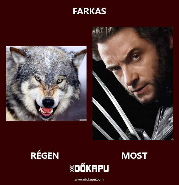 Farkas
 
 title=
