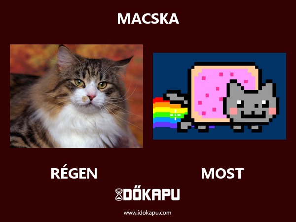 MACSKA
title=