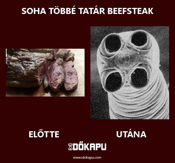 Soha többé tatár beefsteak
 
 title=