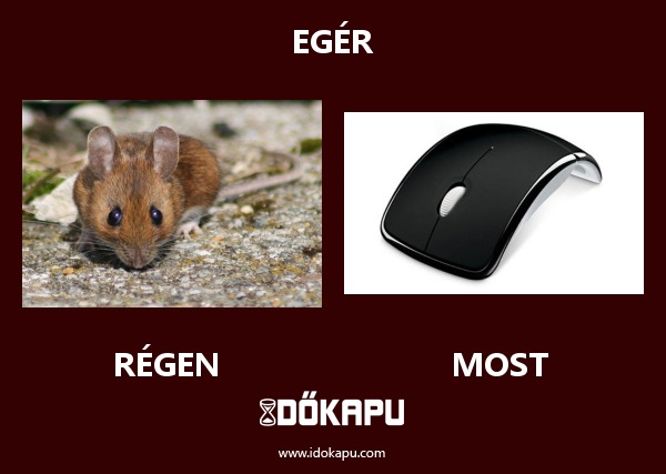 Egér
title=
