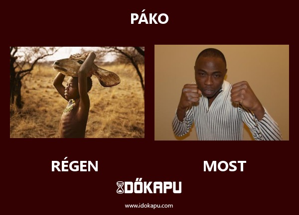 Páko
title=