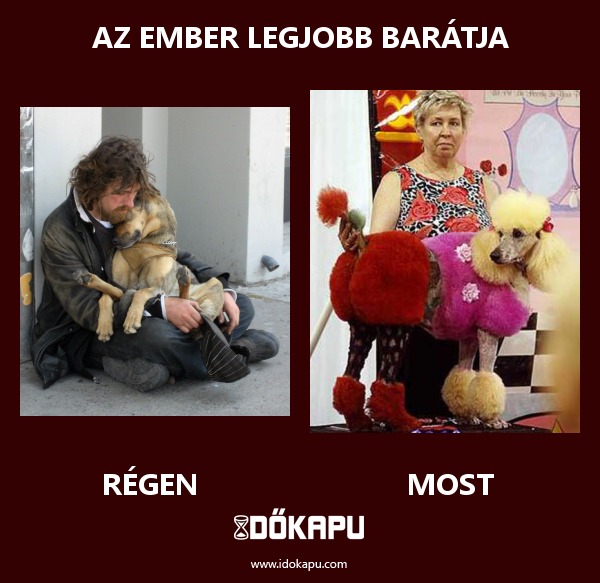 Az ember legjobb barátja
 
 title=