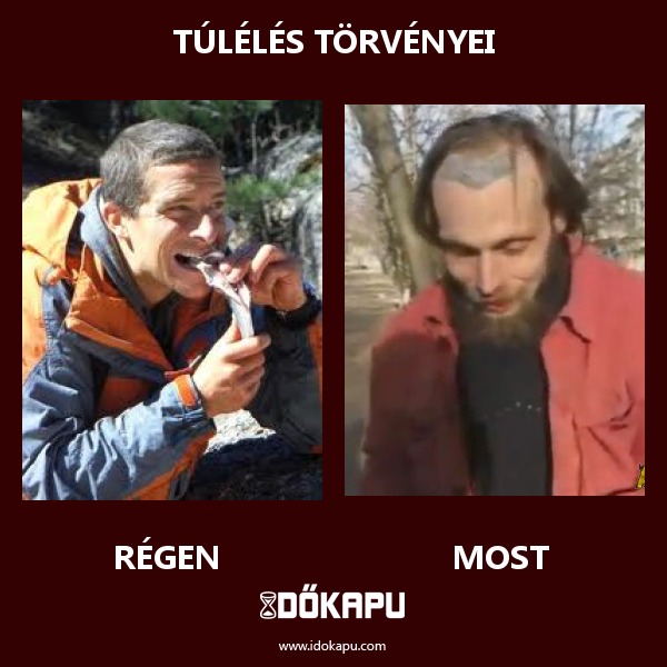 túlélés törvényei
 
 title=