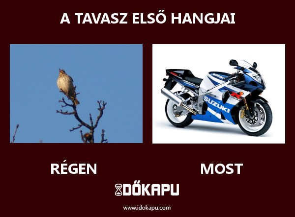 A Tavasz első hangjai
 
 title=