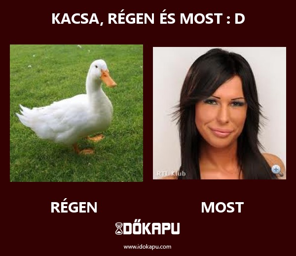 Kacsa, régen és most : D
 
 title=