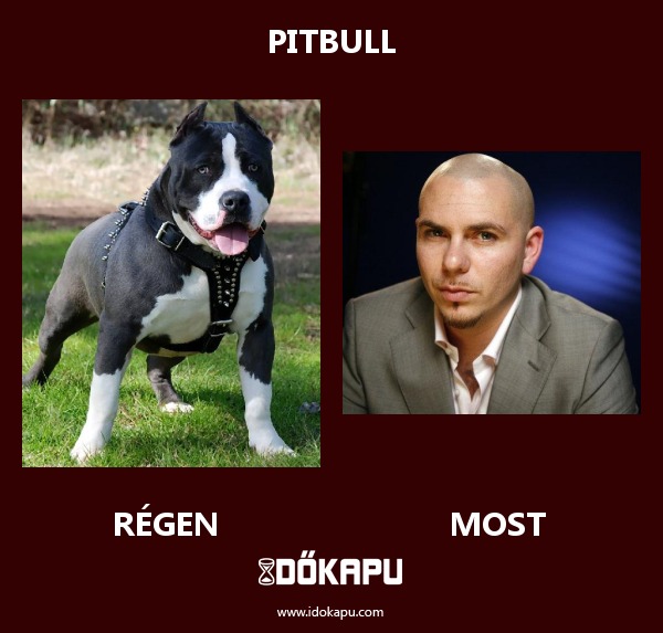 Pitbull
title=