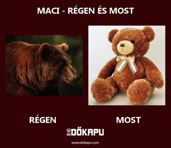 Maci - régen és most
 
 title=