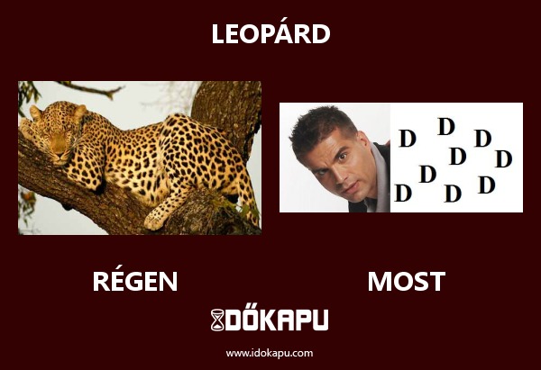 LEOPÁRD
 
 title=