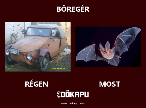 BŐREGÉR
 
 title=