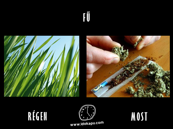 Fű
 
 title=