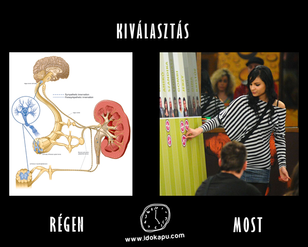 Kiválasztás
 
 title=