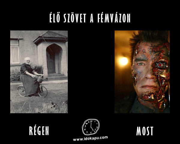 Élő szövet
 
 title=